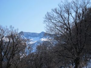 冬瓜平から。左端が笈ヶ岳ピーク。